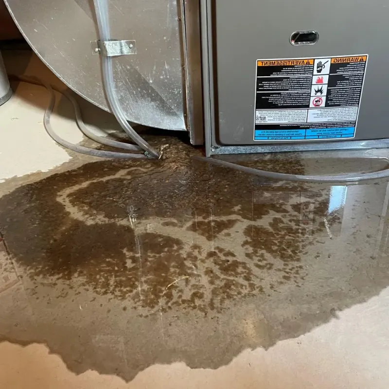 Pipe Burst and Leak Restoration in Minersville, PA