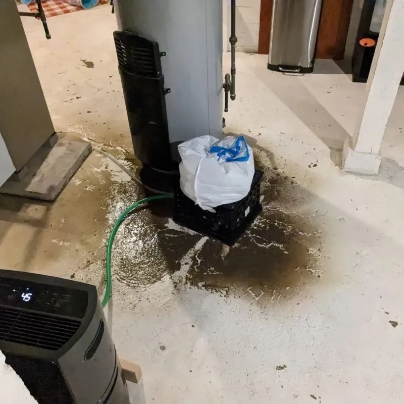 Sewage Backup Cleanup Service in Minersville, PA